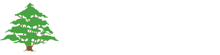 Stocksbridge Junior School